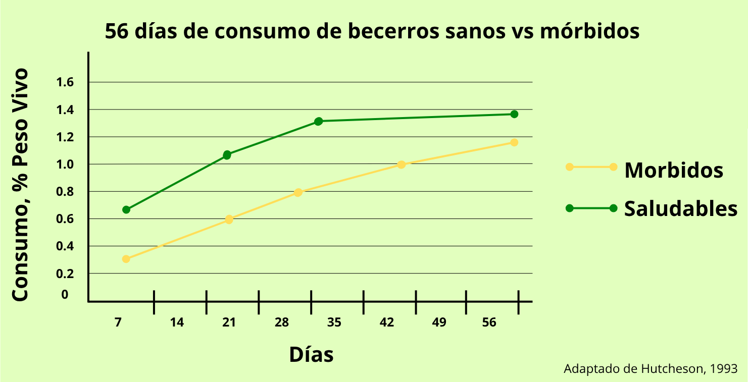 img-blur-shadow-blog-2