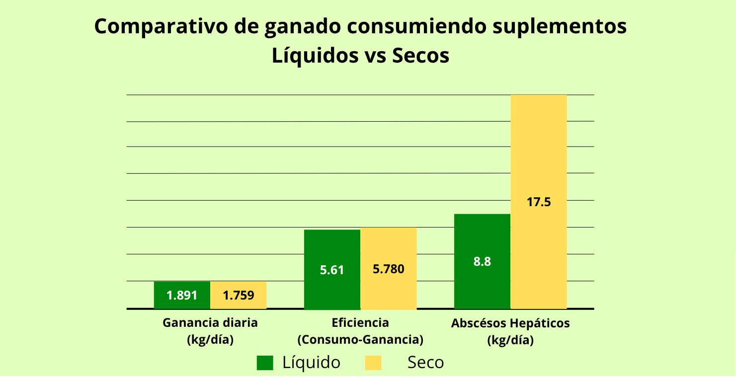 img-blur-shadow-blog-2